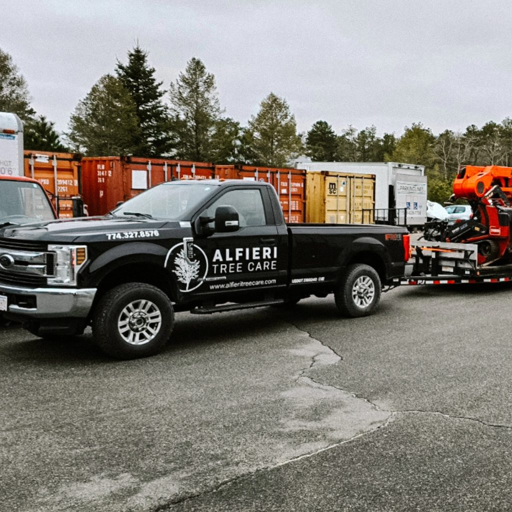 alfieri tree care cape cod