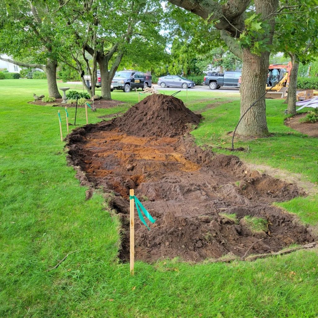 root system assessments