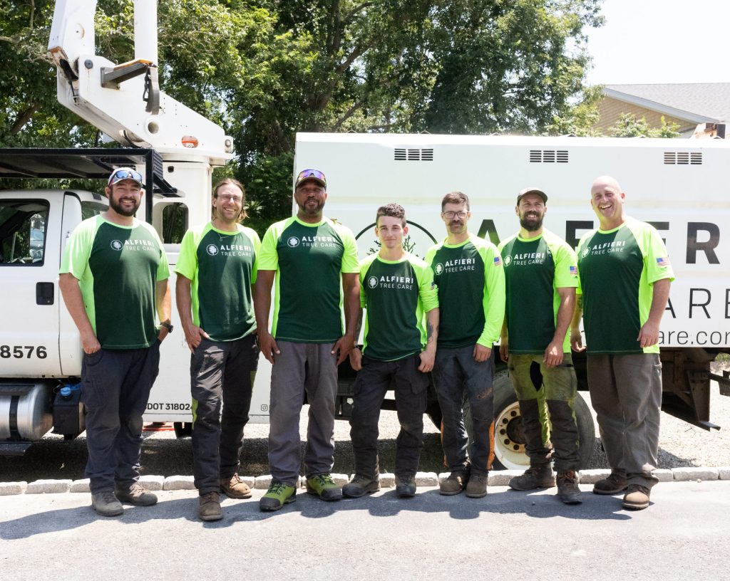 alfieri tree care team