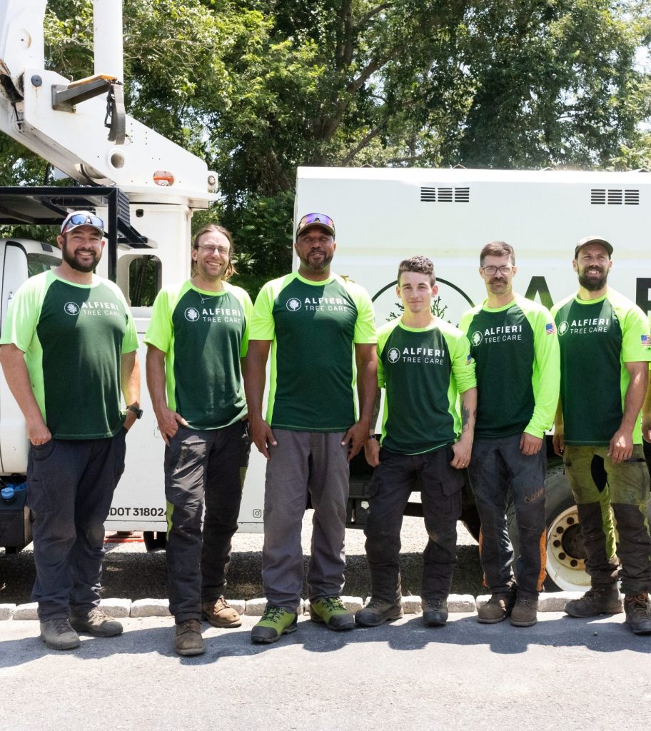 alfieri tree care team