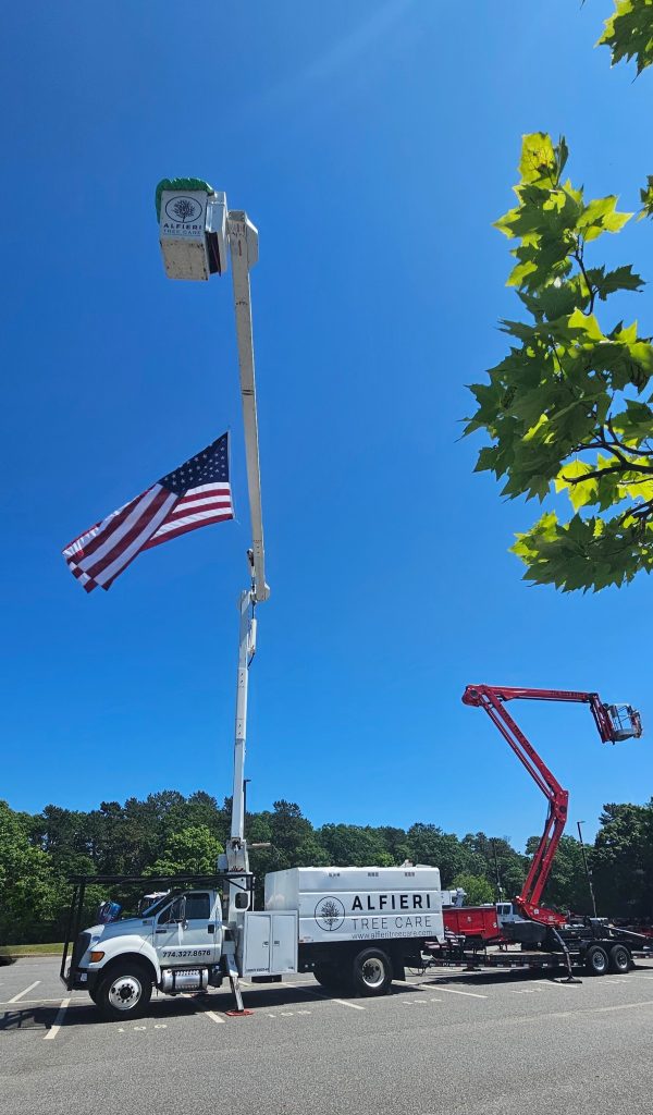 Alfieri Tree bucket truck and aerial lift